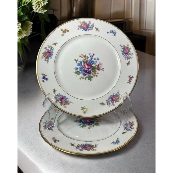 Lamberton China Rose of Lamberton Dinner Plate 10.5” Set Of 2 Made In America - Picture 1 of 9